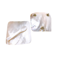 Seashell Plate And Spoon 2