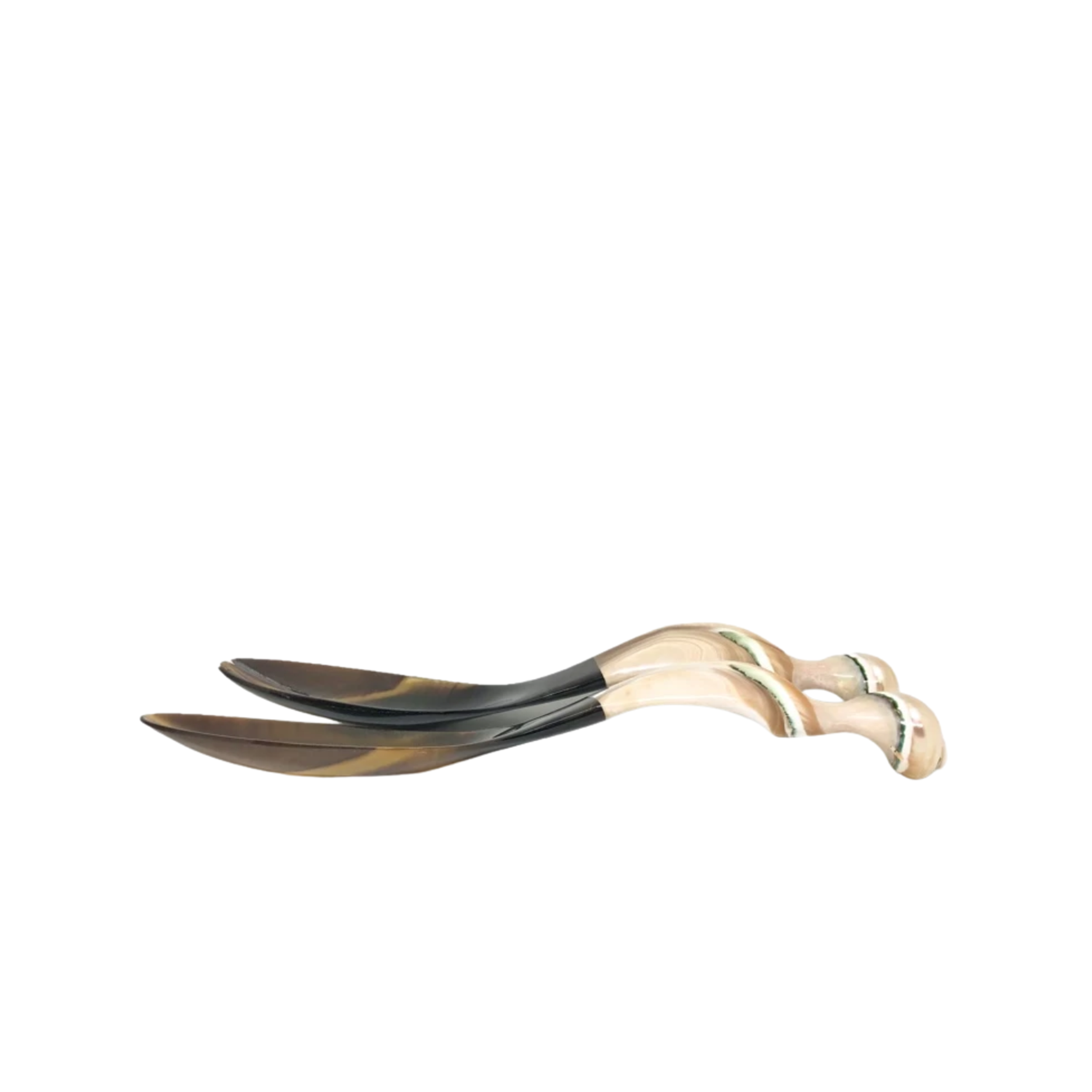 Seashell Spoon 10
