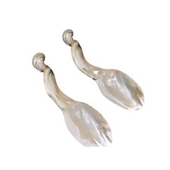 Seashell Spoon 11