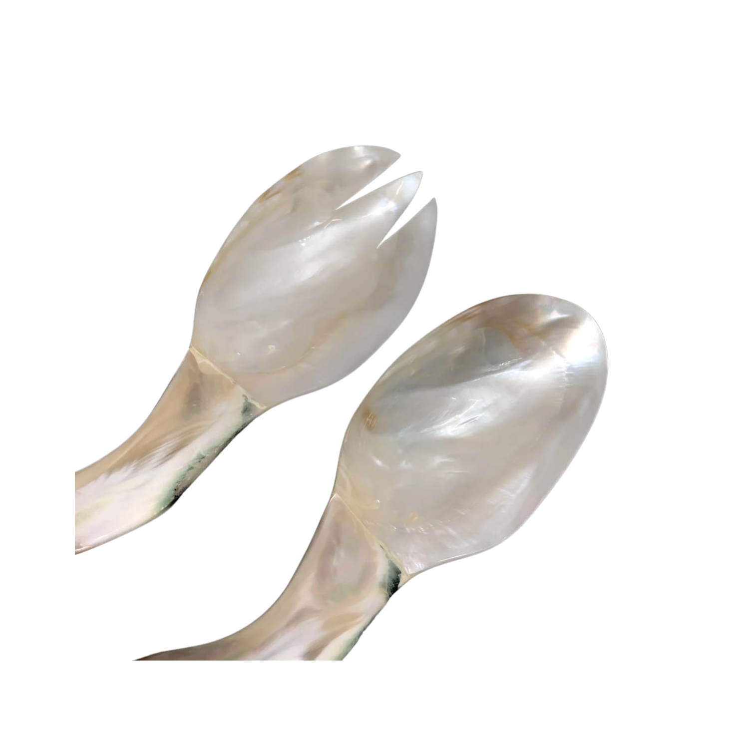 Seashell Spoon 11