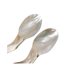 Seashell Spoon 11