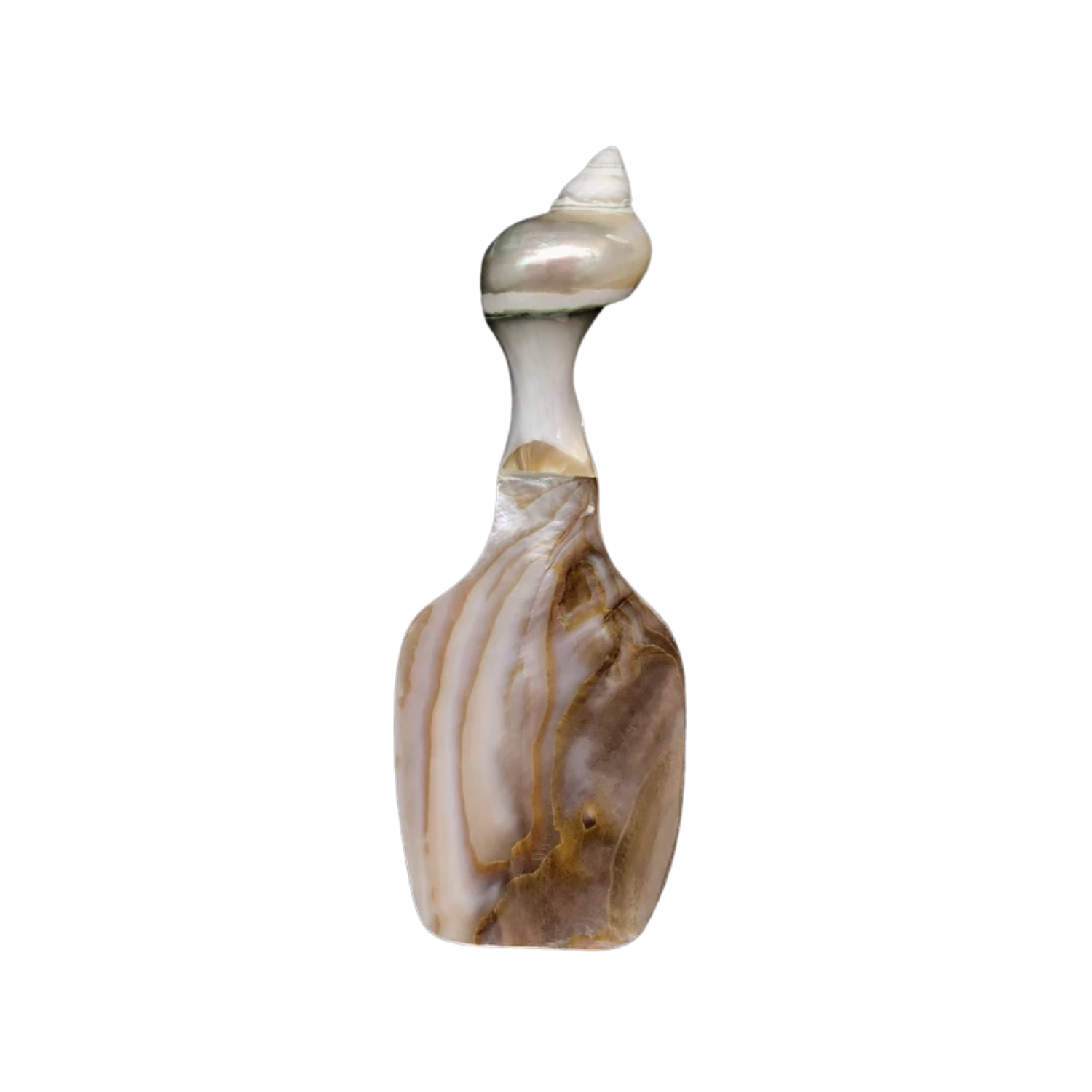 Seashell Spoon 12