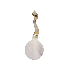 Seashell Spoon 12