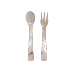 Seashell Spoon 13