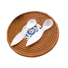 Seashell Spoon 14