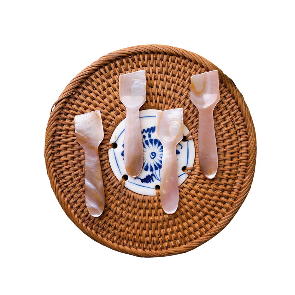 Seashell Spoon 15