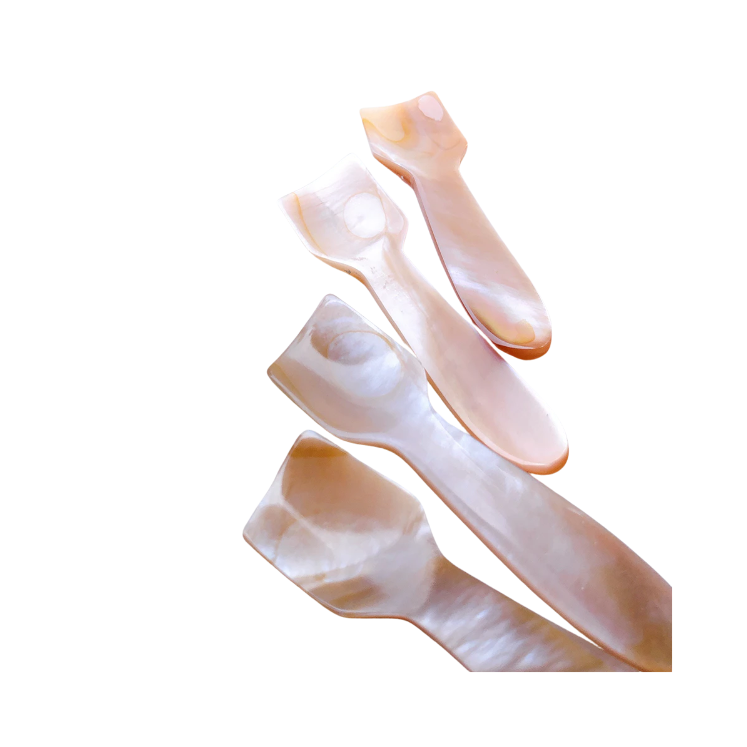 Seashell Spoon 15