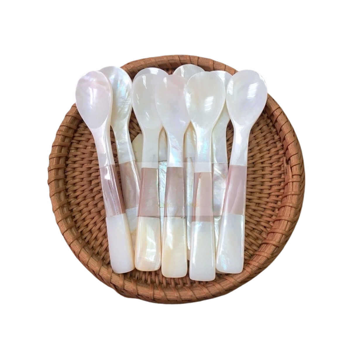 Seashell Spoon 16