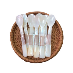 Seashell Spoon 16