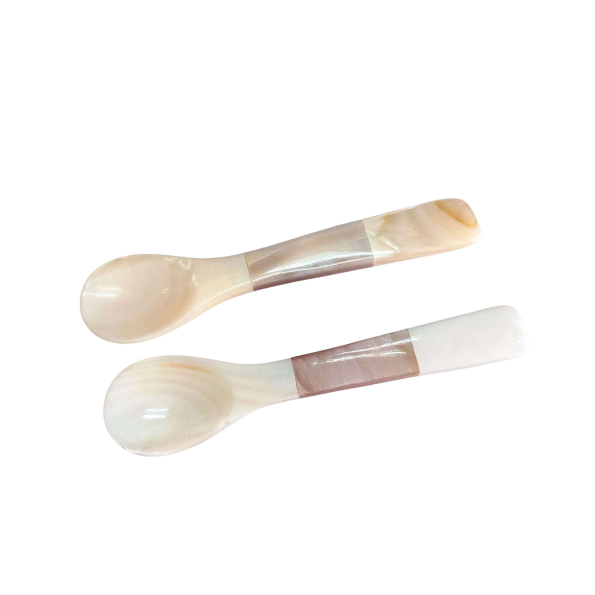 Seashell Spoon 16