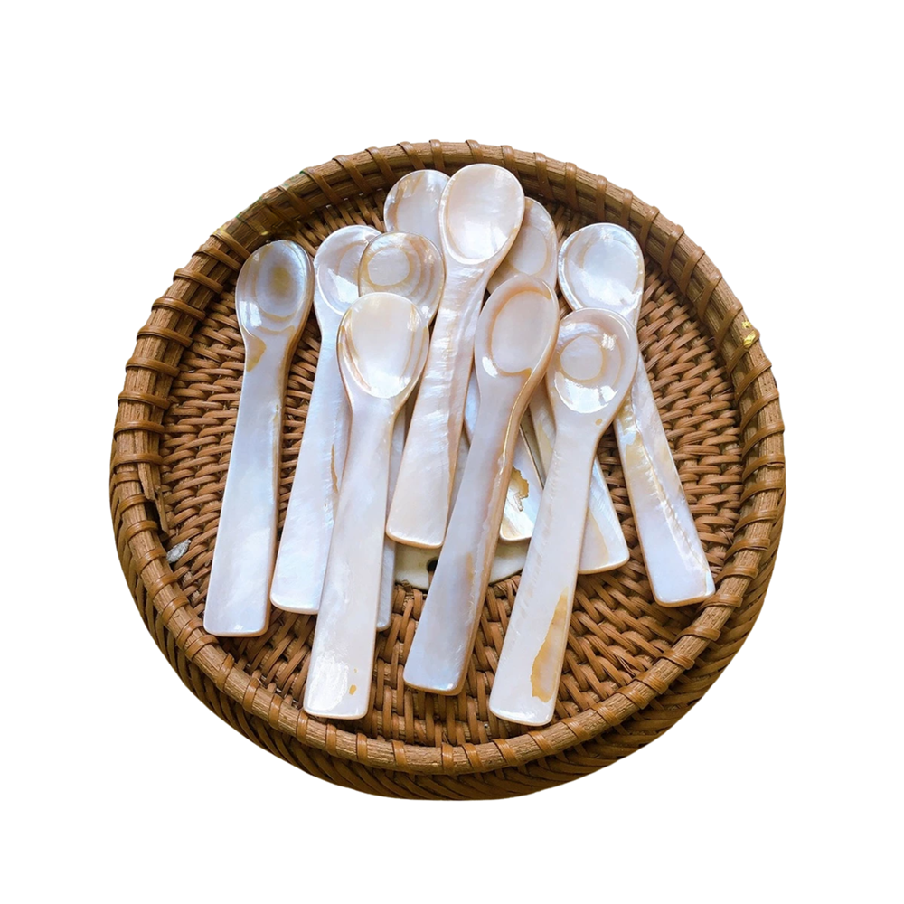 Seashell Spoon 17
