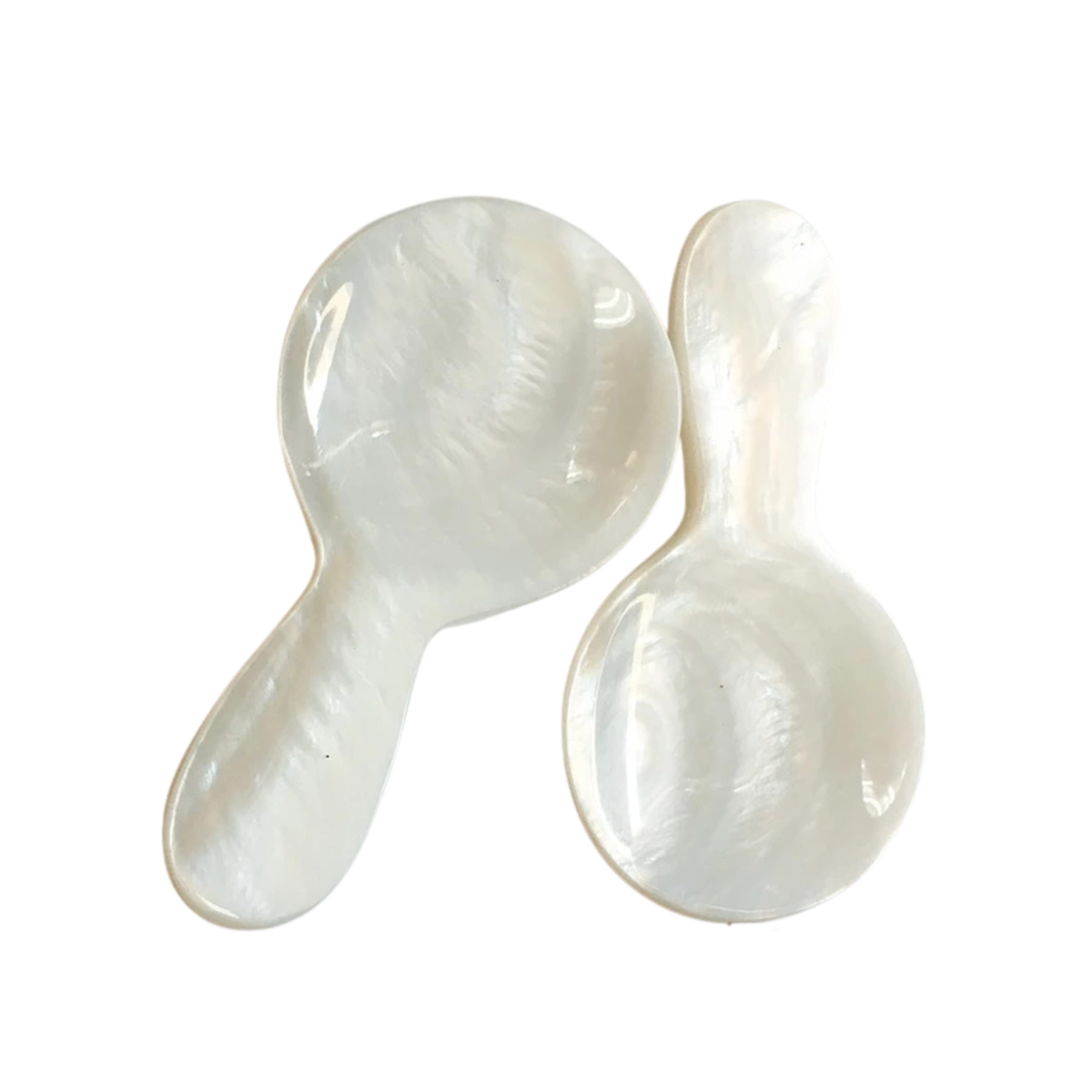 Seashell Spoon 18