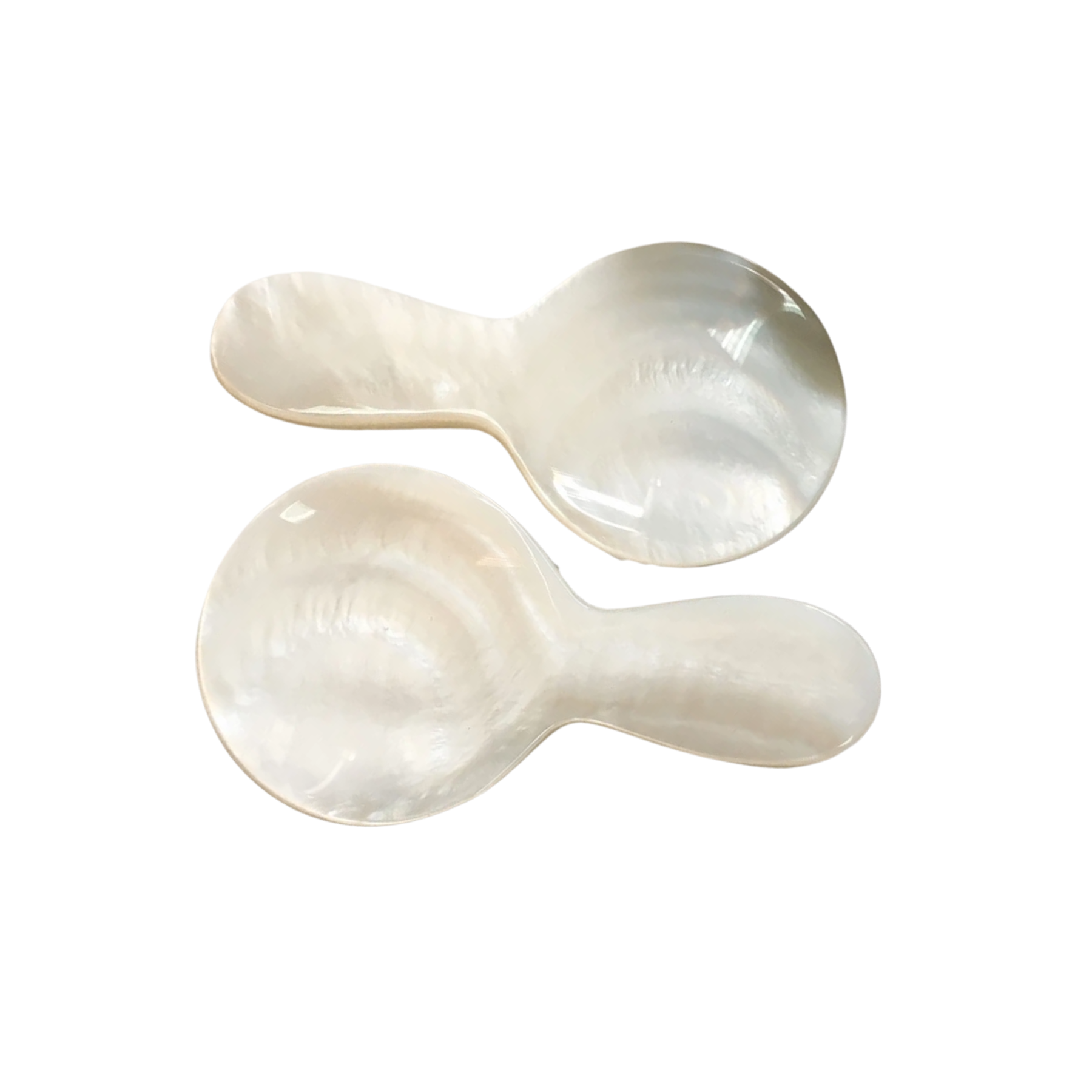 Seashell Spoon 18