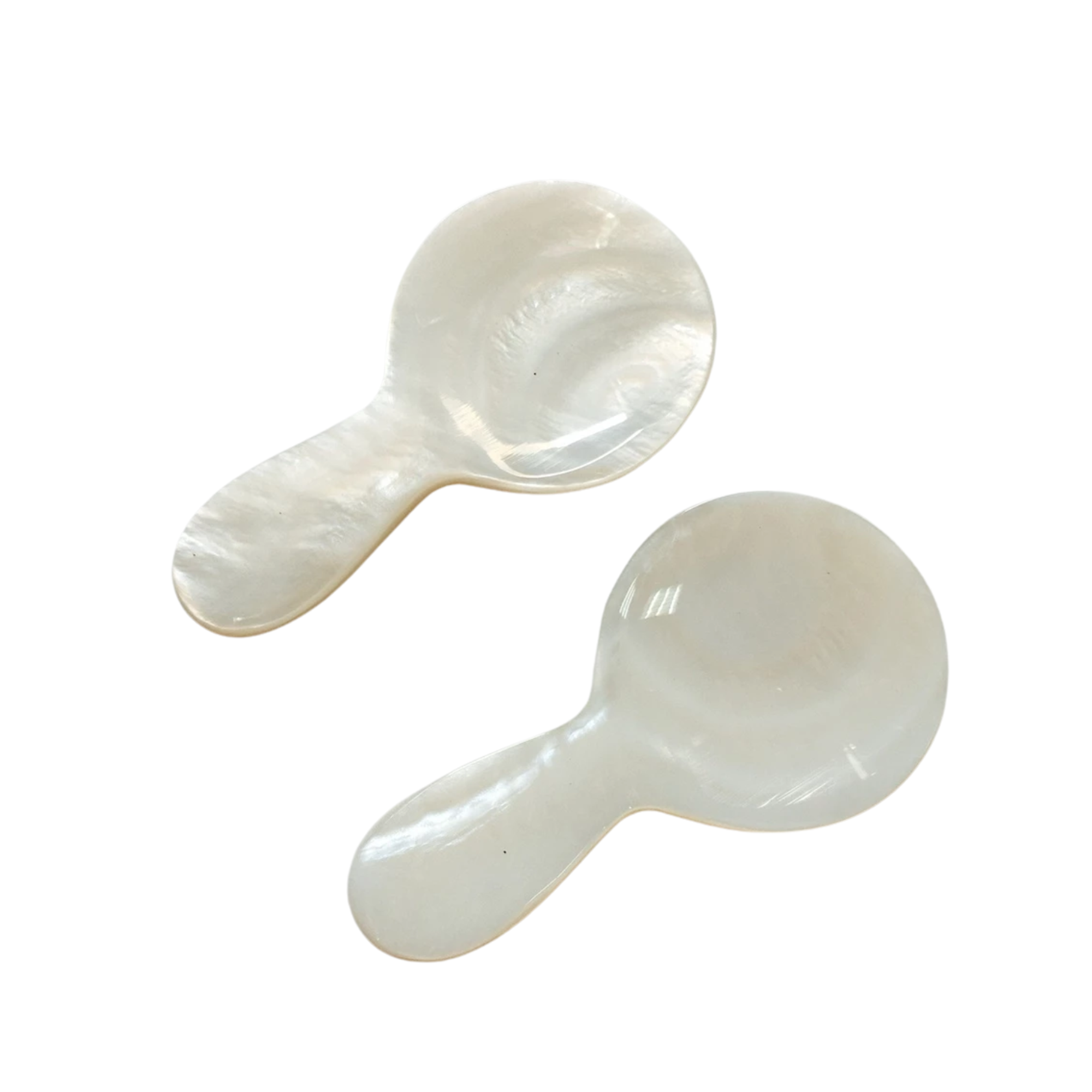 Seashell Spoon 18