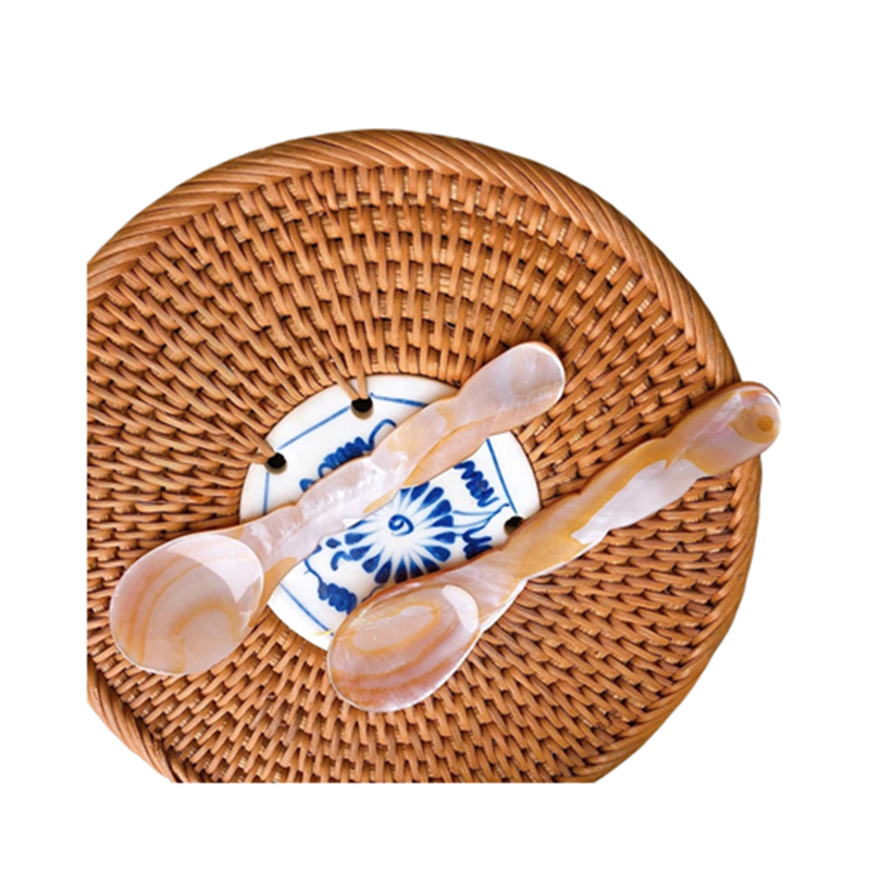 Seashell Spoon 19