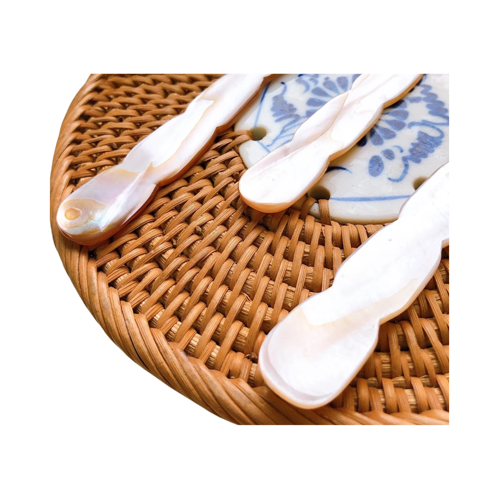 Seashell Spoon 19