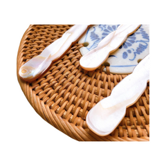 Seashell Spoon 19
