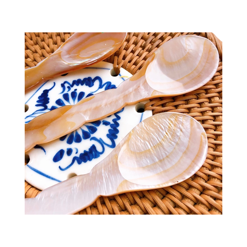 Seashell Spoon 19