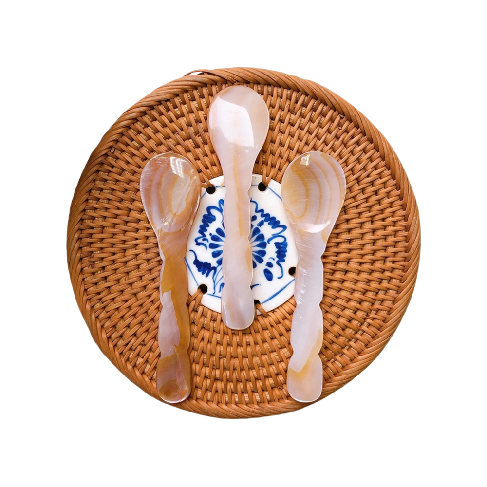 Seashell Spoon 19