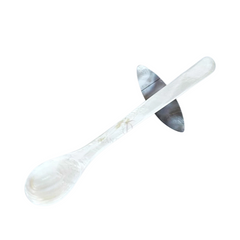 Seashell Spoon 1