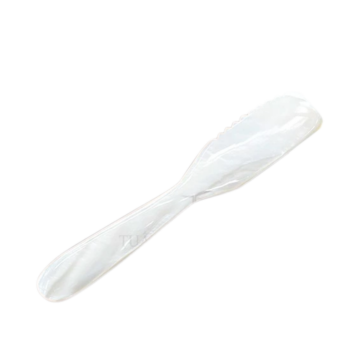 Seashell Spoon 1