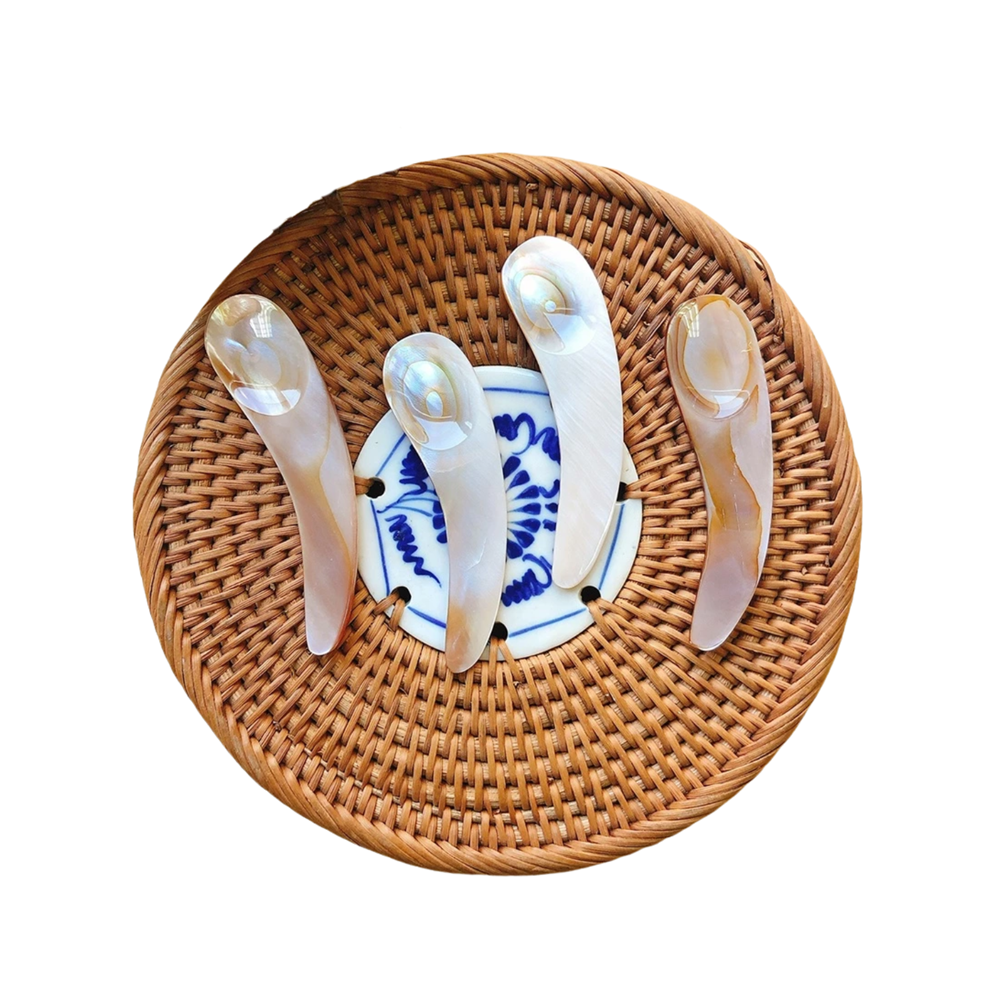 Seashell Spoon 20