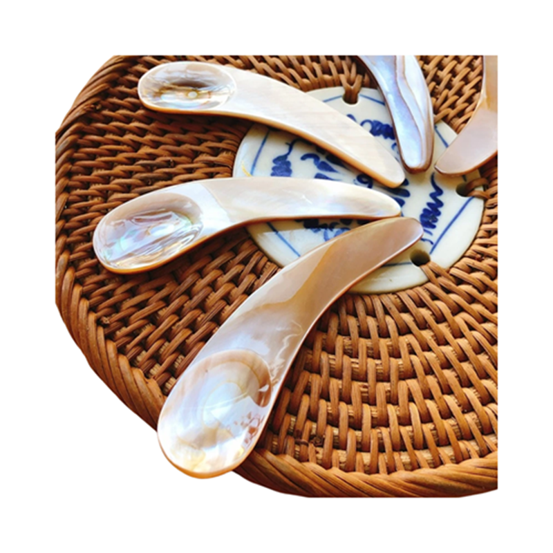 Seashell Spoon 20