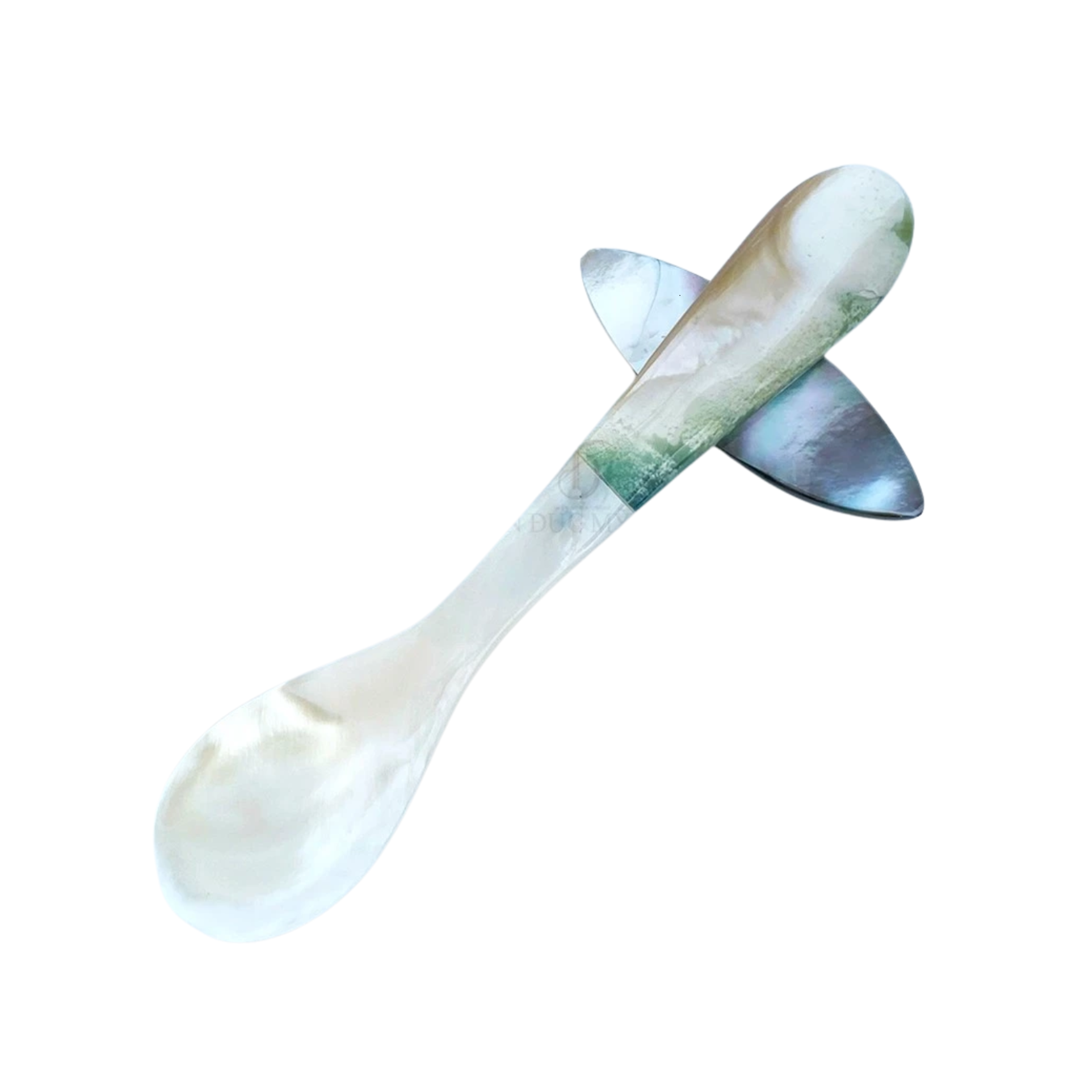 Seashell Spoon 2