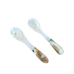 Seashell Spoon 3
