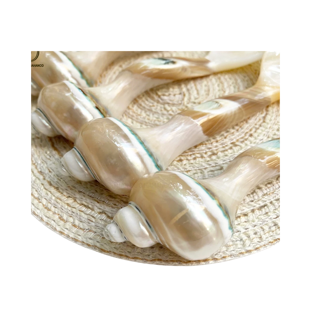 Seashell Spoon 4