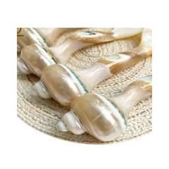 Seashell Spoon 4