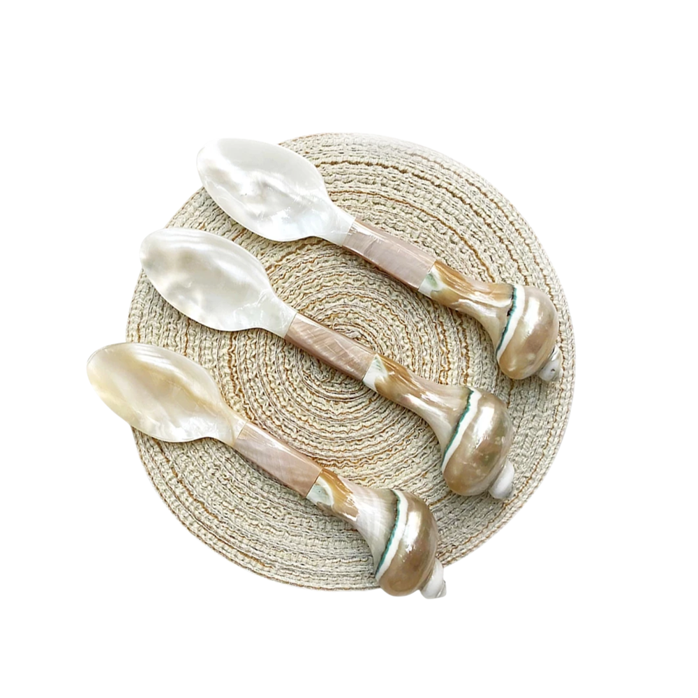 Seashell Spoon 4