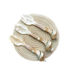 Seashell Spoon 4