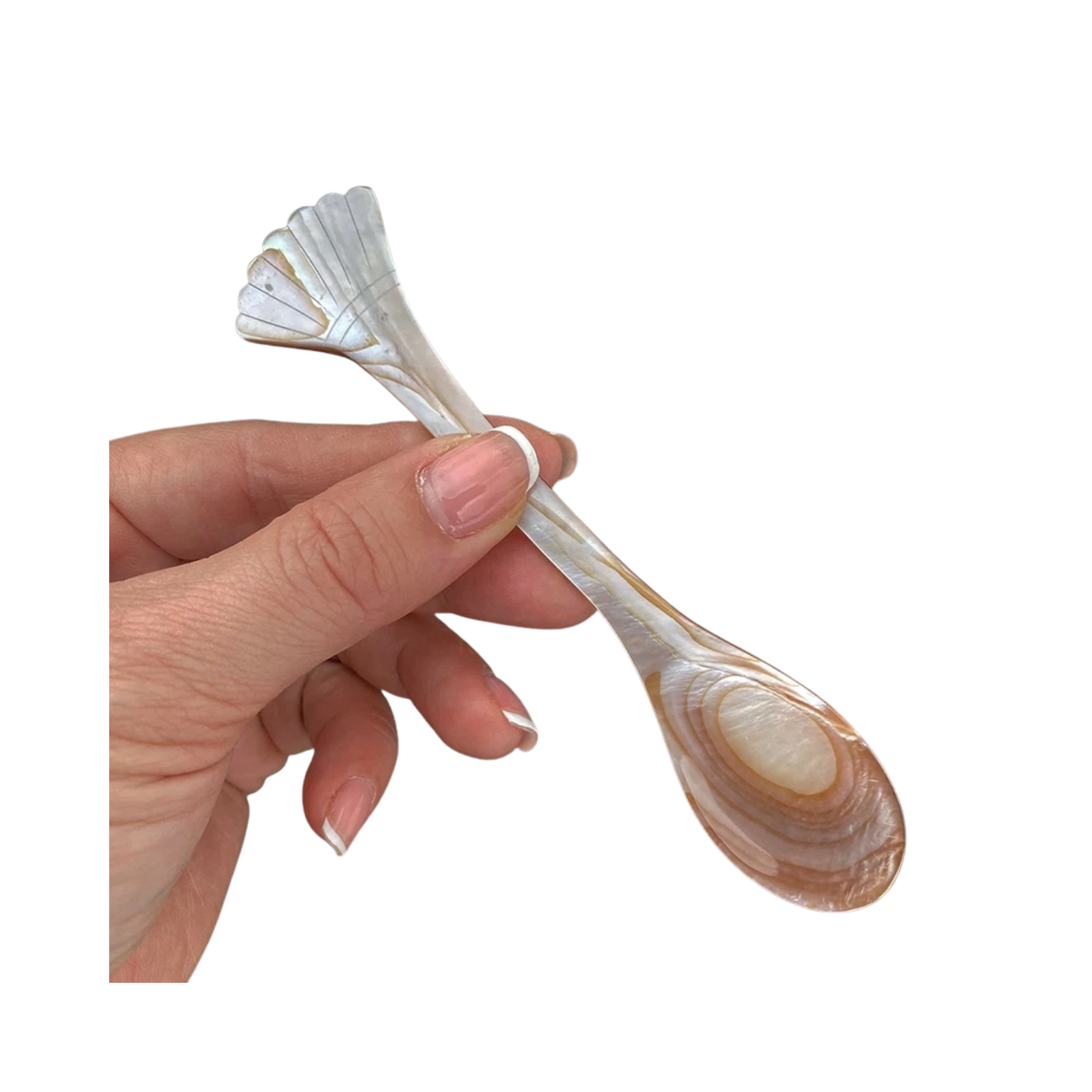 Seashell Spoon 5
