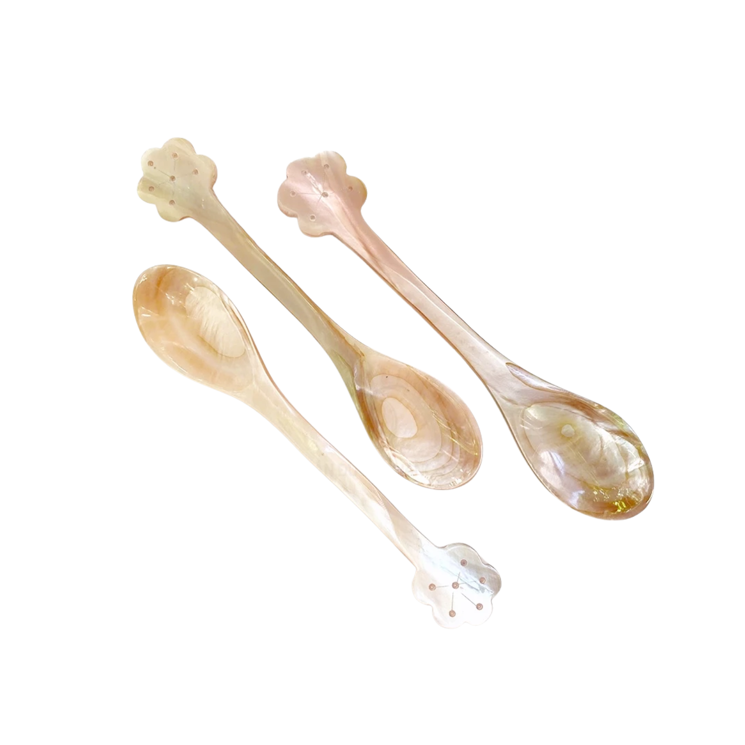 Seashell Spoon 5