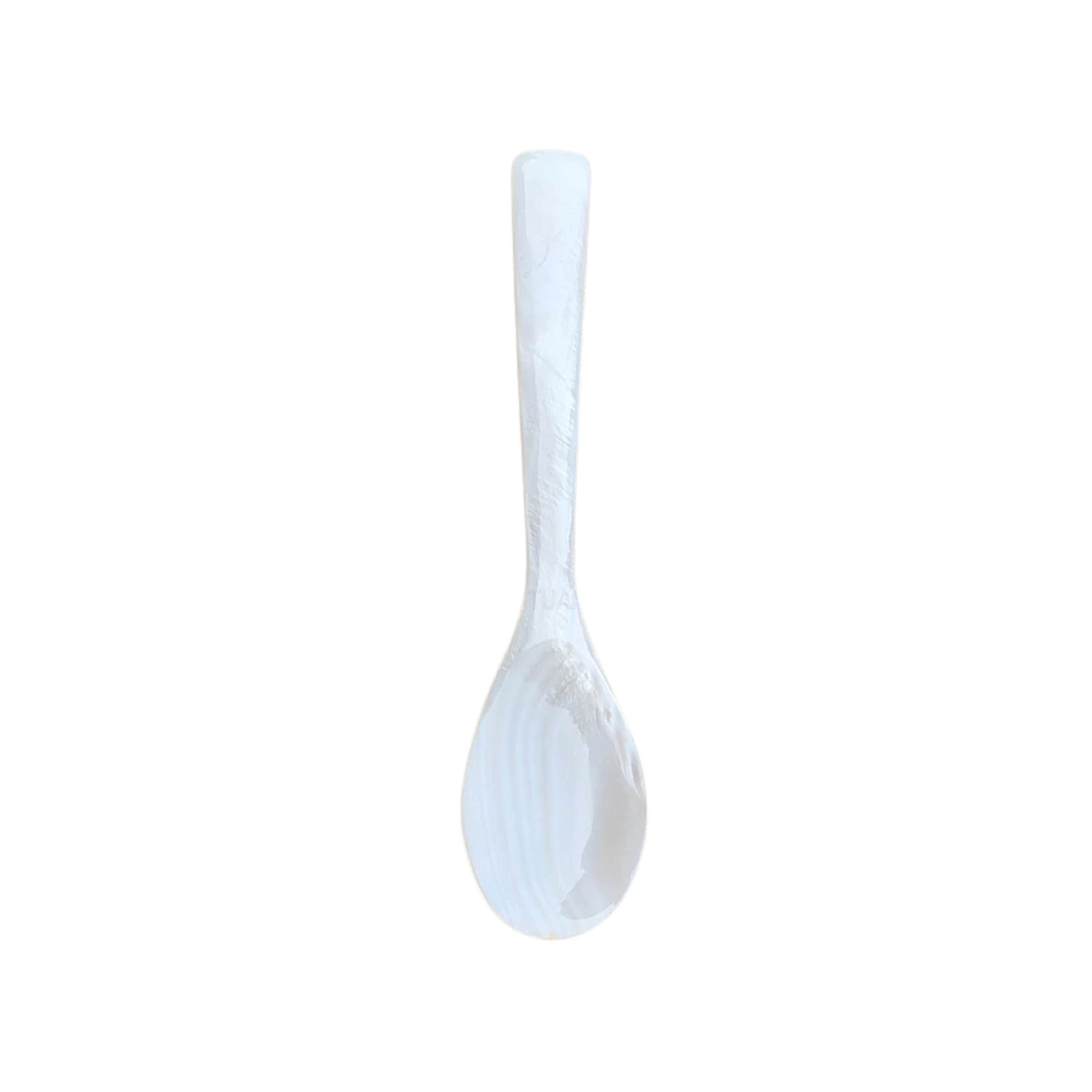 Seashell Spoon 6
