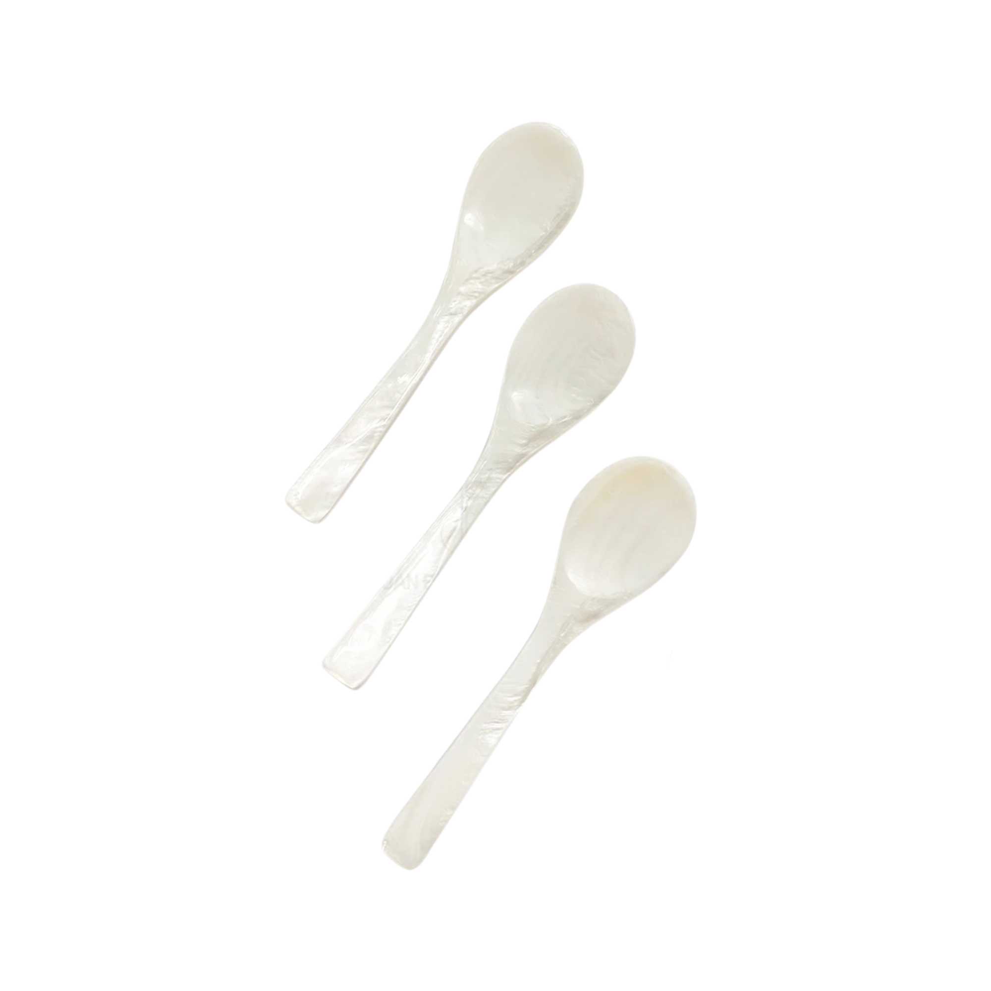 Seashell Spoon 6