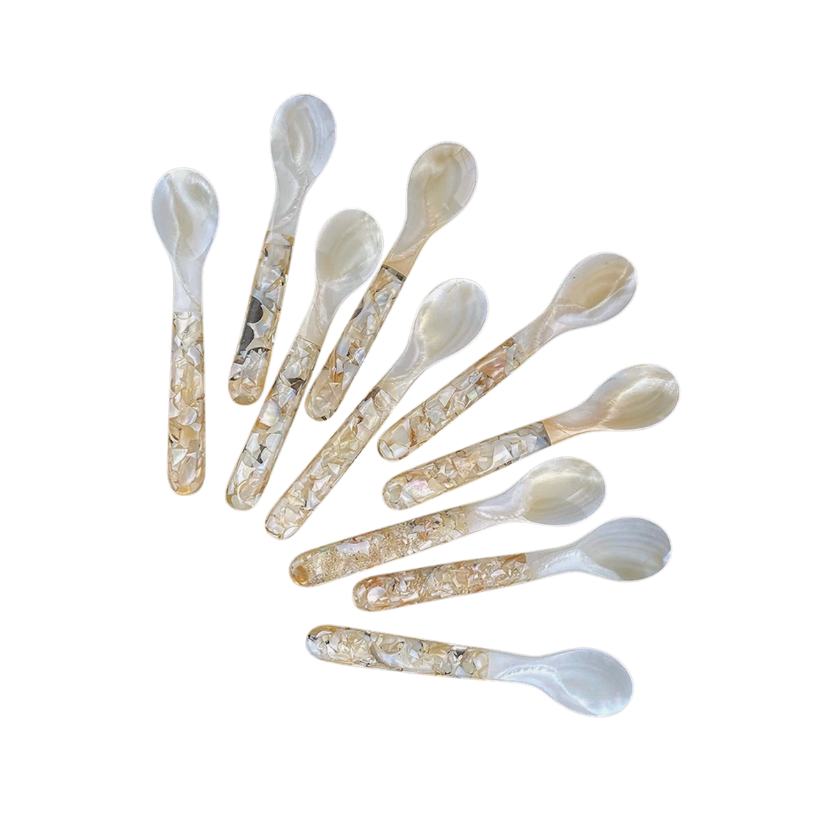 Seashell Spoon 7