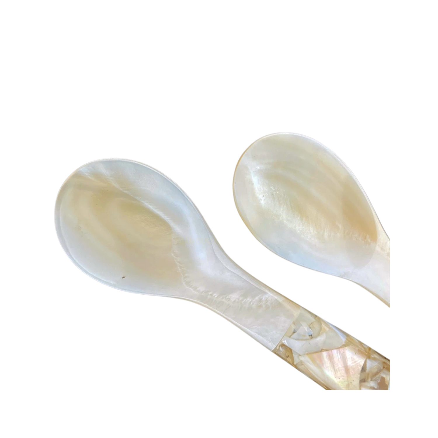 Seashell Spoon 7