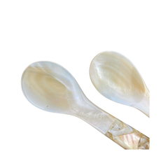 Seashell Spoon 7