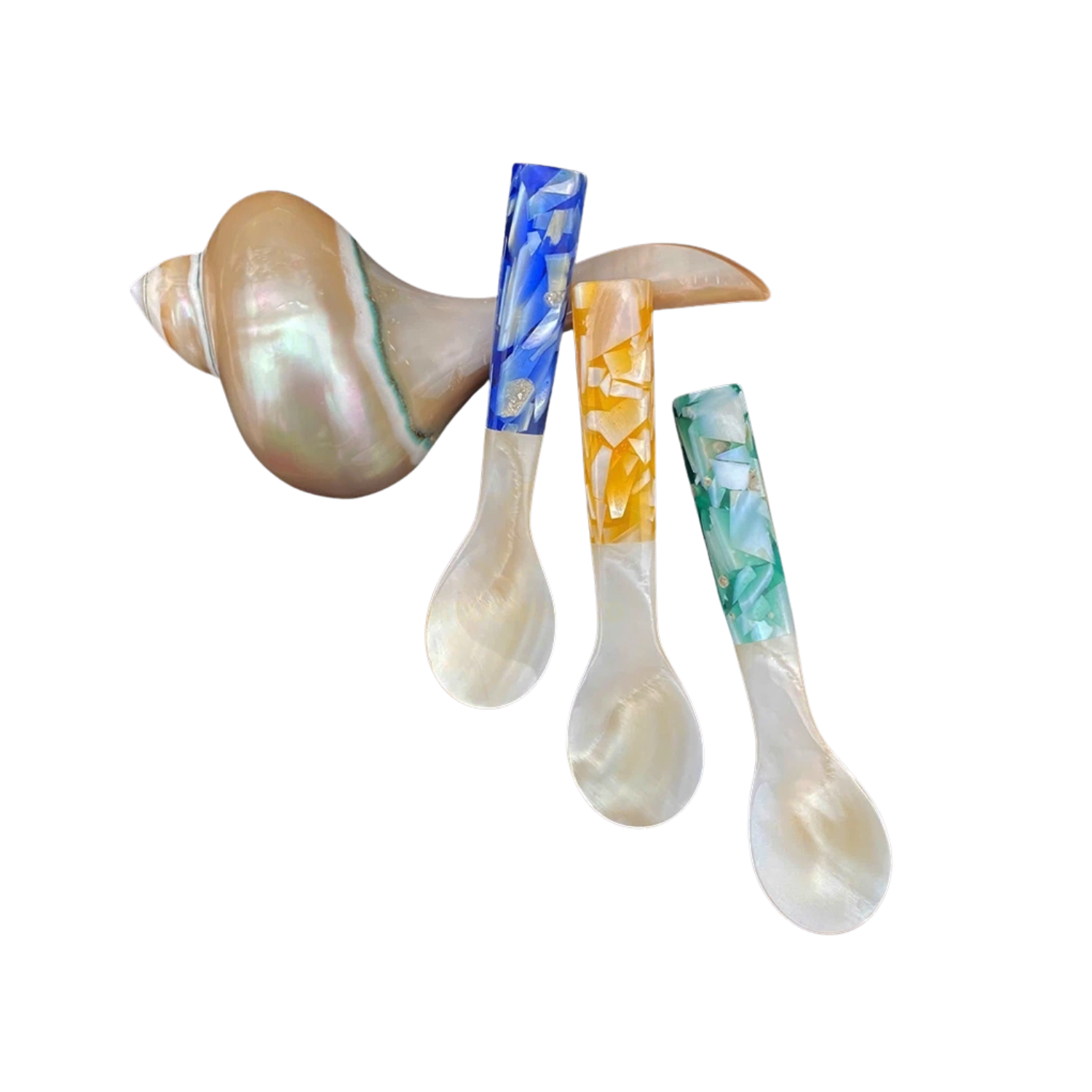 Seashell Spoon 8