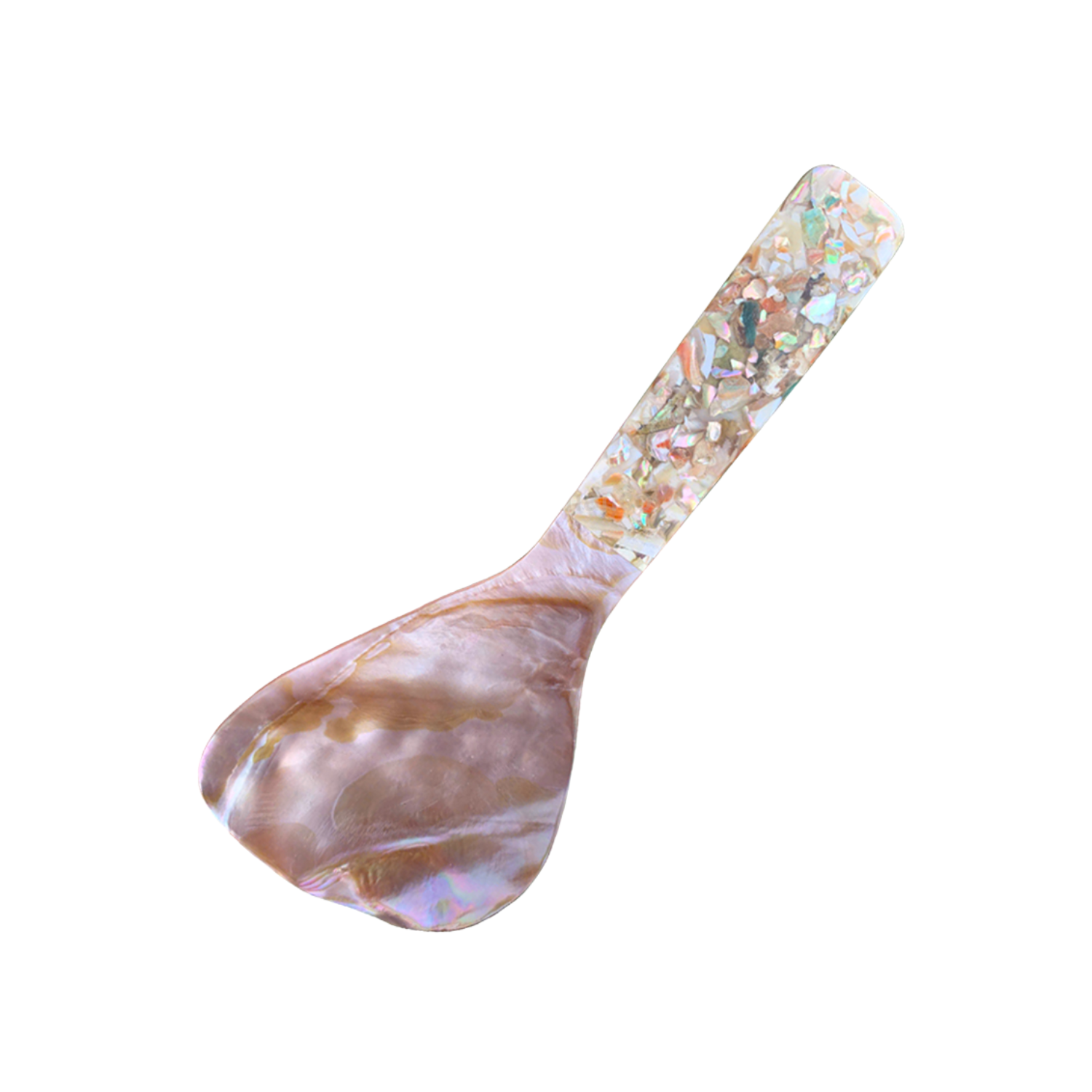 Seashell Spoon 9