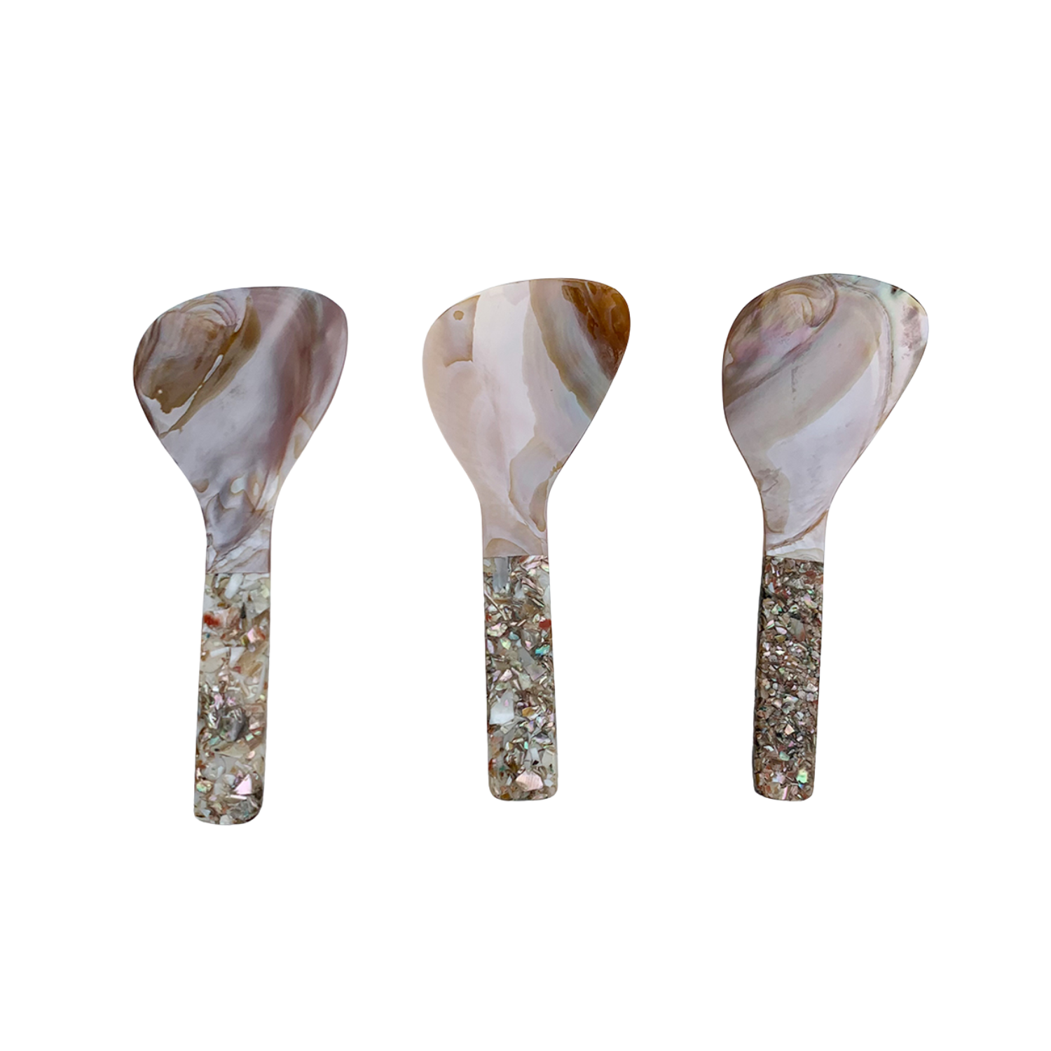 Seashell Spoon 9