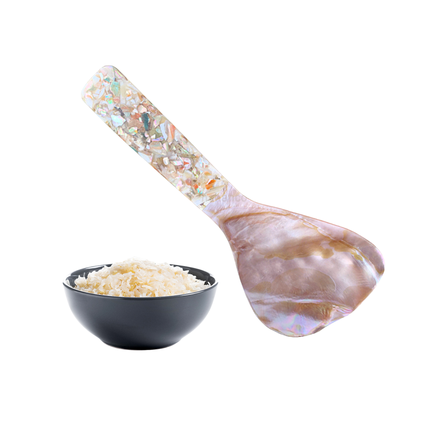 Seashell Spoon 9