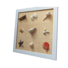 Seashell Wall Art 2
