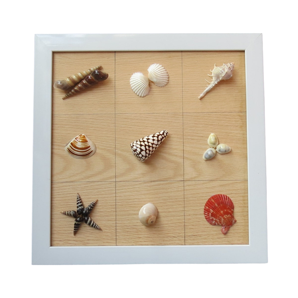 Seashell Wall Art 2