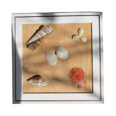 Seashell Wall Art 1