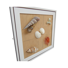 Seashell Wall Art 1