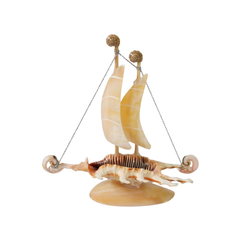 Small Ria Snail Boat