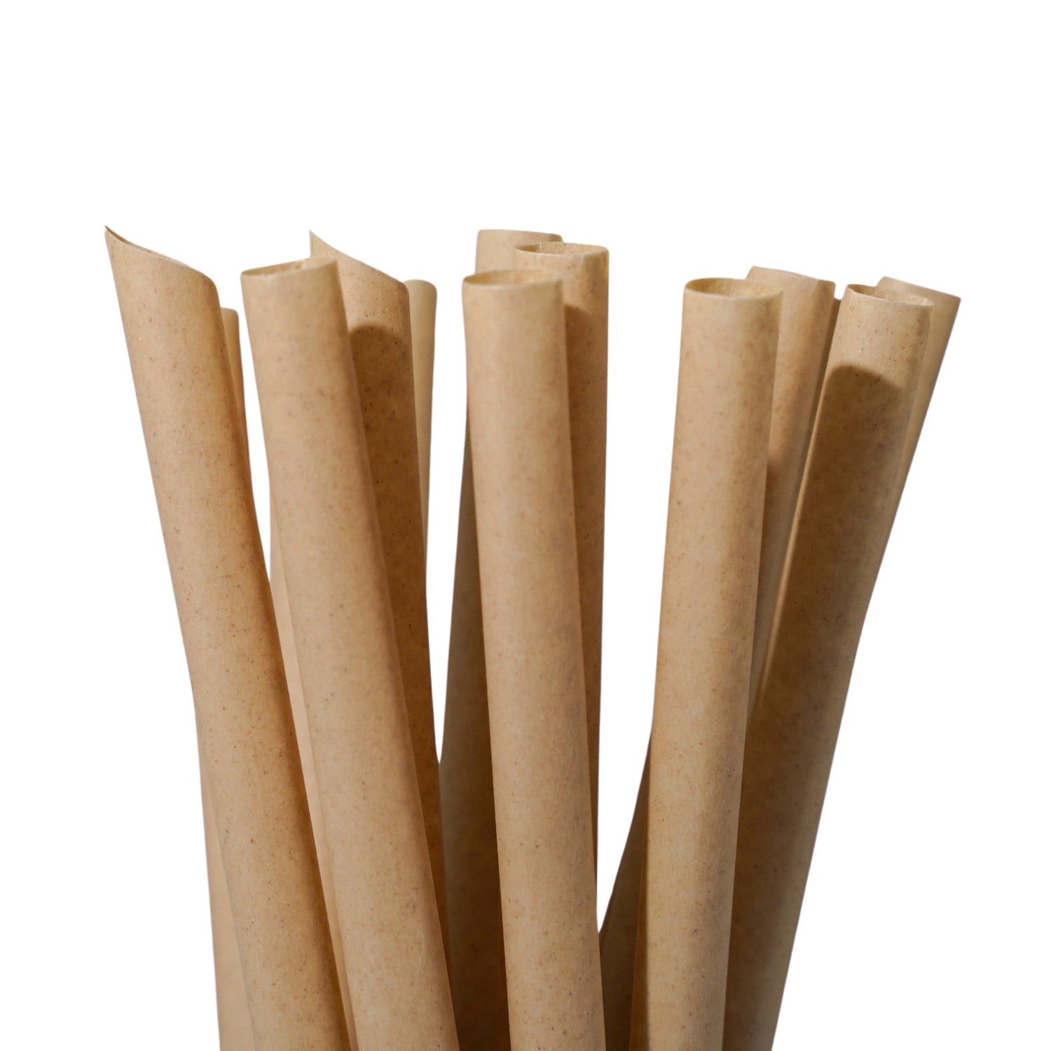 Sugarcane Bagasse Straws